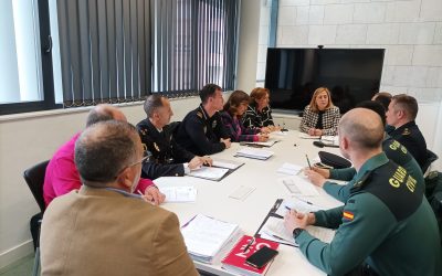 JUNTA LOCAL DE SEGURIDAD EN ALMORADÍ