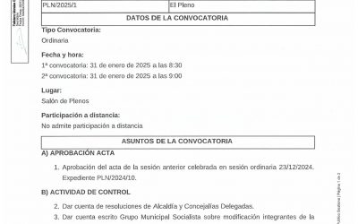 CONVOCATORIA DE PLENO ORDINARIO