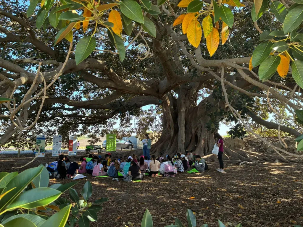 ALMORADÍ IMPULSA LA CONCIENCIA AMBIENTAL ENTRE ESCOLARES CON UNA NUEVA EDICIÓN DE LA SEMANA EDUCATIVA MEDIOAMBIENTAL