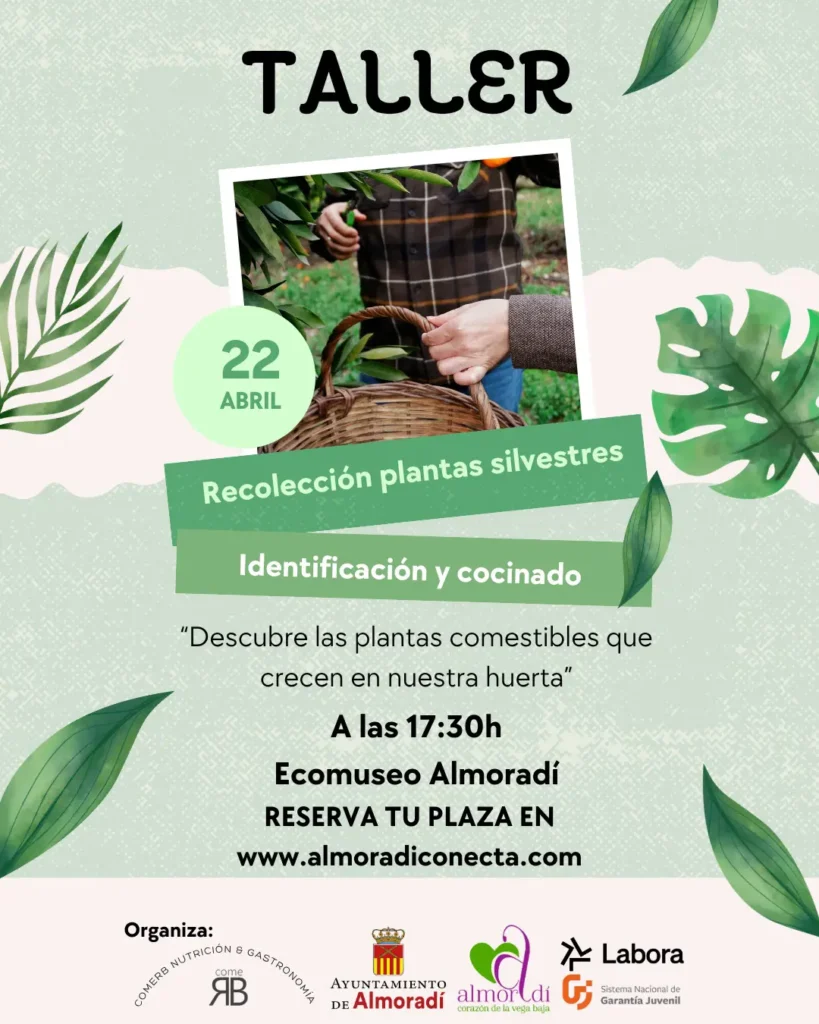 Taller Recolección de plantas silvestres. IDENTIFICANDO Y COCINANDO.