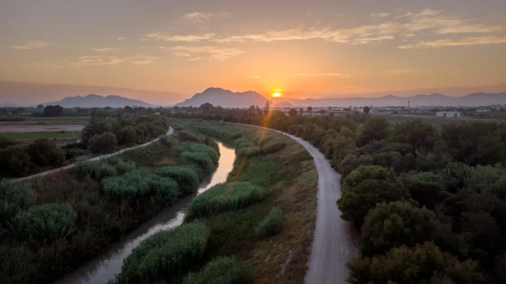 ALMORADÍ ESTRENARÁ EL PRÓXIMO 2 DE MARZO LA ACTIVIDAD “PASEANDO ENTRE ALCACHOFAS”